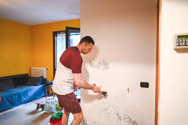 Best Post-Remediation Services in Liverpool, NY